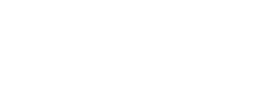 Shaun Fisher Photo Logo